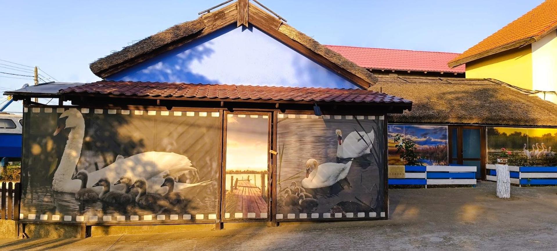 Pensiunea Miasor Hotel Murighiol Exterior photo
